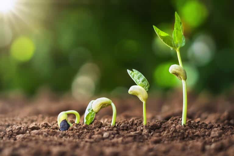 From Scarcity to Stewardship
